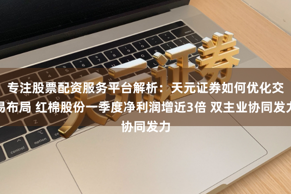 专注股票配资服务平台解析：天元证券如何优化交易布局 红棉股份一季度净利润增近3倍 双主业协同发力